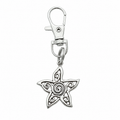 Star Zipper Charm