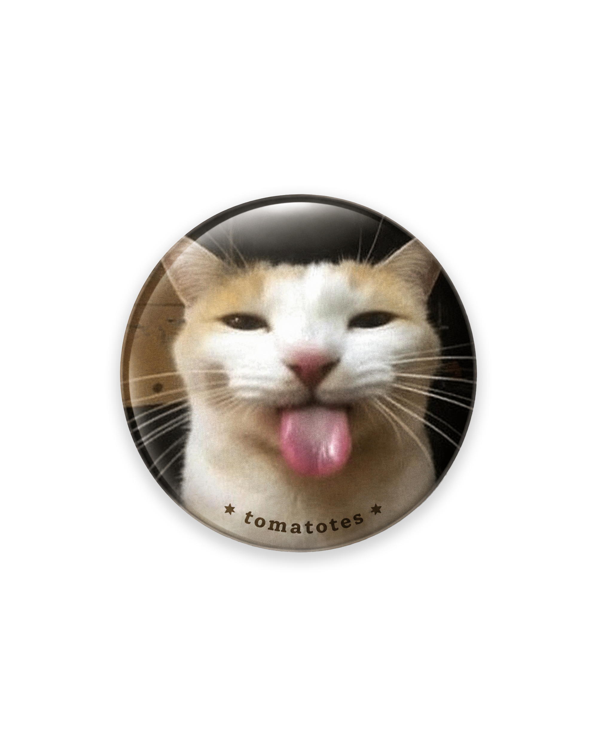 vol. 1 pinback badges